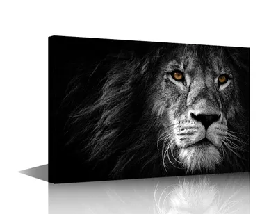 Vászonkép oroszlán 40×60 cm, kerettel, fekete-fehér generic